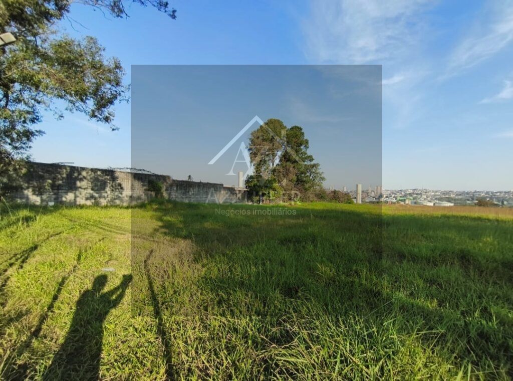 WhatsApp Image 2025-10-03 at 13.44.20 (1)