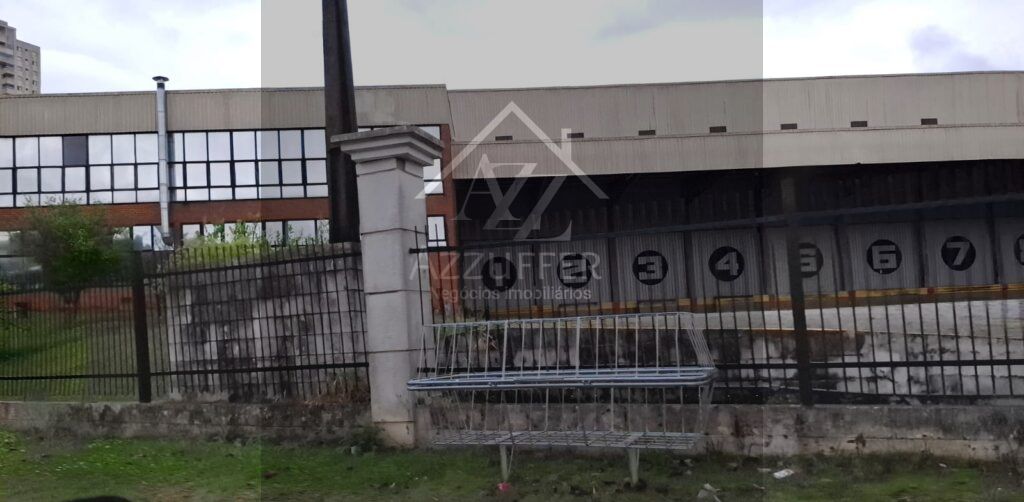 WhatsApp Image 2025-10-13 at 09.37.08