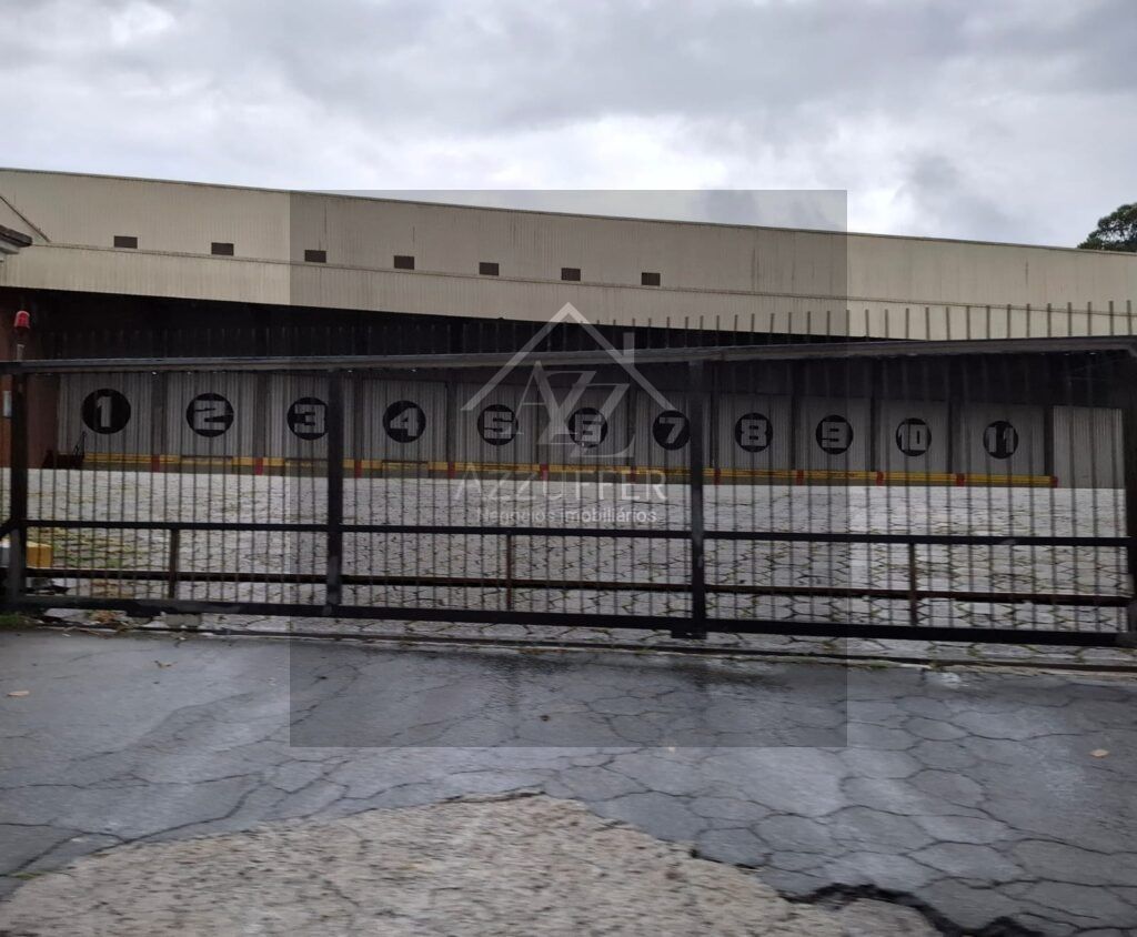 WhatsApp Image 2025-10-13 at 09.37.09